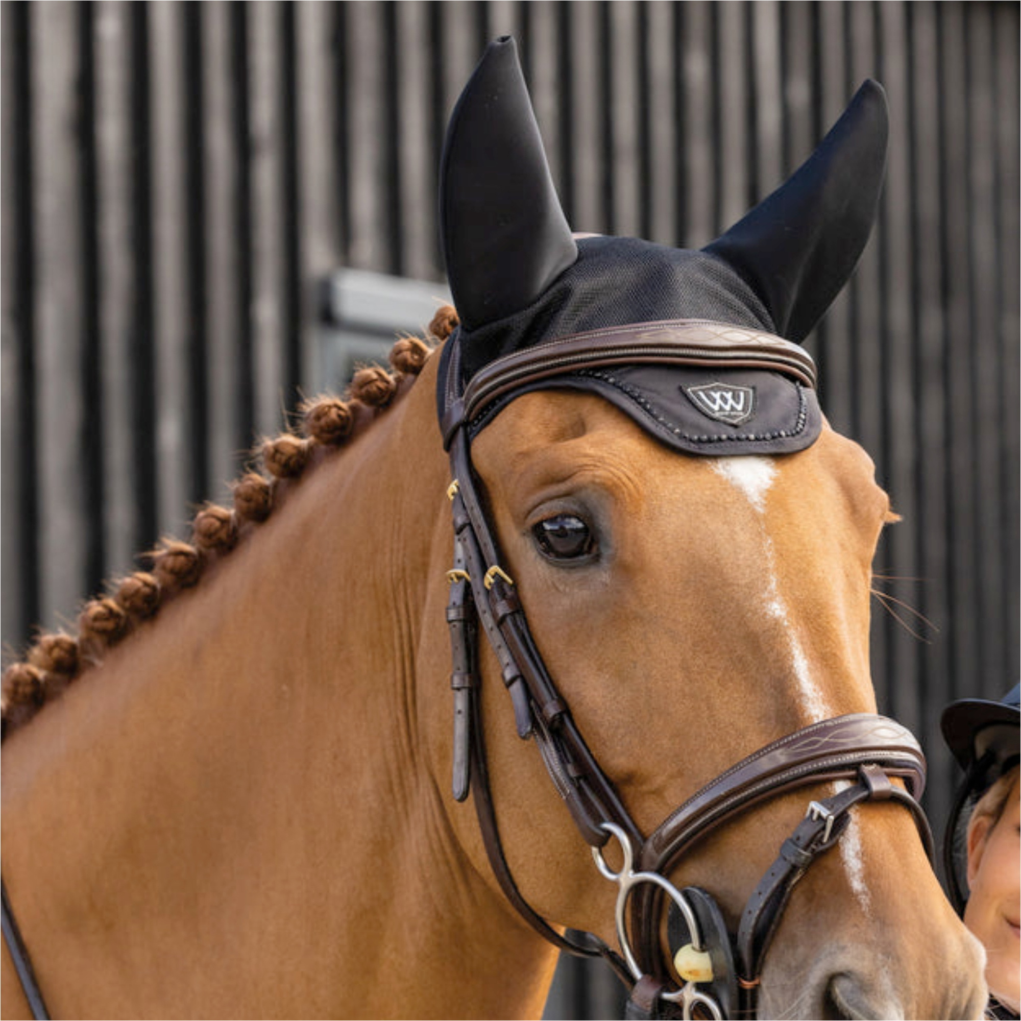 2026 Woof Wear Noise Cancelling Crystal Fly Veil WS0045-BKBK - Black
